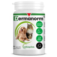 VETOQUINOL Dermanorm 90 kapsułek