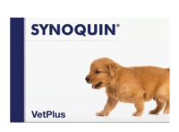 VETPLUS SYNOQUIN Growth 60 tabletek wsparcie staw贸w u szczeni膮t
