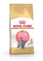 ROYAL CANIN British Shorthair Kitten 10kg