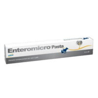 GEULINCX Enteromicro pasta