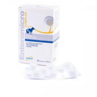 GEULINCX Enteromicro Complex