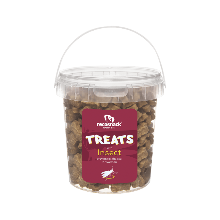 RECOSNACK Treats with insect 500g