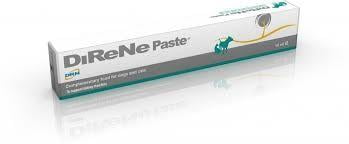 GEULINCX DiReNe pasta