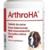 DOLFOS ArthroHA 60 tabletek wsparcie stawów