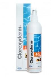 GEULINCX Clorexyderm spray