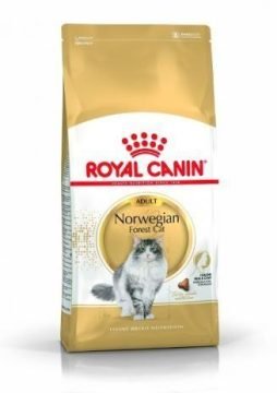 ROYAL CANIN Norwegian Forrest Adult 400g