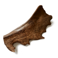 fallow deer antler/ gryzak z poroża daniela m