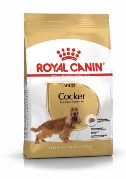 ROYAL CANIN Cocker Adult 12kg karma sucha dla psów