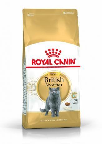 ROYAL CANIN British Shorthair Adult 2kg