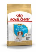 ROYAL CANIN Cavalier King Charles Puppy 1,5kg karma sucha dla psów