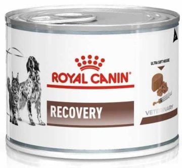 ROYAL CANIN Recovery Mousse