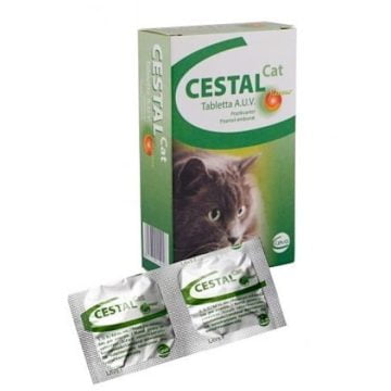 Cestal cat 2 tab