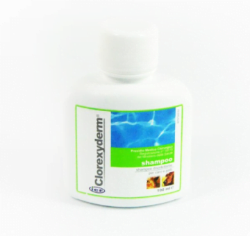 GEULINCX Clorexyderm Shampoo 100ml