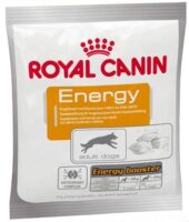 ROYAL CANIN Energy Booster 50g karma sucha dla ps贸w