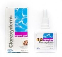GEULINCX Clorexyderm spot gel