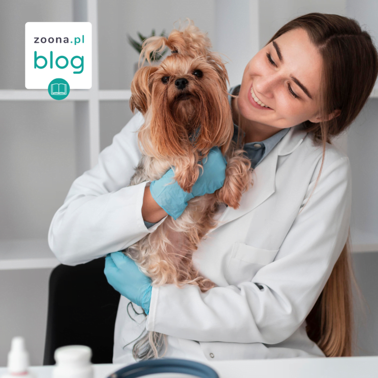 Co zrobić jeśli mój pies boi się iść do weterynarza?