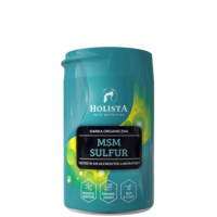 HOLISTA MSM dla psa i kota 250g siarka organiczna