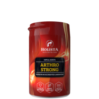 HOLISTA Arthro Strong suplement na stawy dla psów 200g