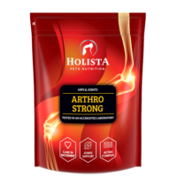 HOLISTA Arthro Strong suplement na stawy dla psów 600g