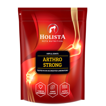 HOLISTA Arthro Strong suplement na stawy dla psów 600g