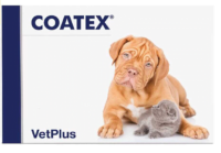 VETPLUS Coatex choroby skóry i sierści 60 kapsułek