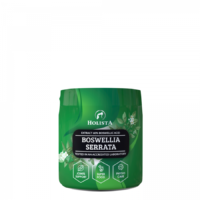 HOLISTA Boswellia seratta dla psa i kota na stawy 100g