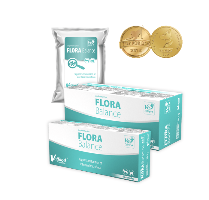 Vetfood Flora Balance - Jak odbudować florę bakteryjną jelit u psa i kota? 