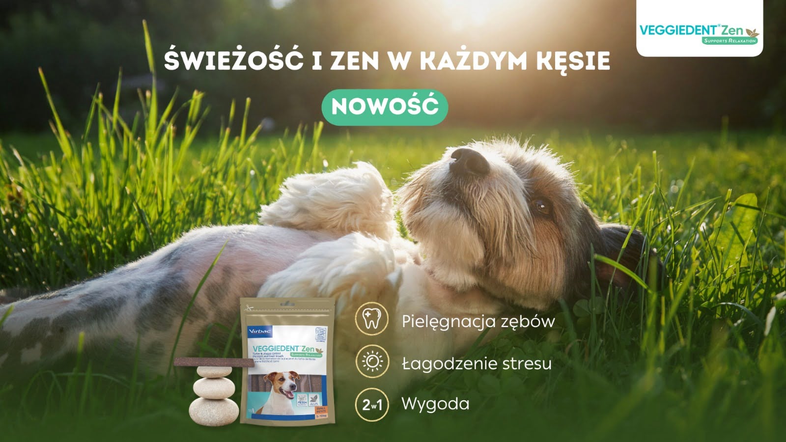 Nowość od Virbac - gryzaki dla psa Veggiedent Zen