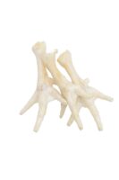 COMFY Appetit Kurze Łapki Białe