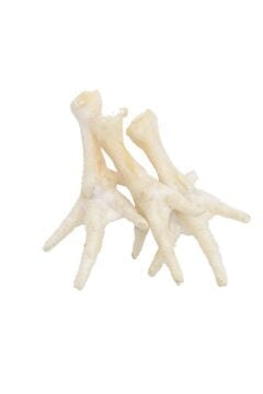 COMFY Appetit Kurze Łapki Białe