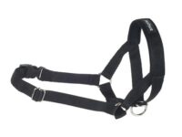 Amiplay Halter Basic M (N3) Cocker Spaniel Czarny
