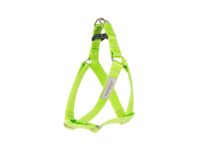 Amiplay Szelki regulowane Samba M Zielony