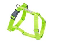 Amiplay Szelki regulowane Guard Samba L Zielony