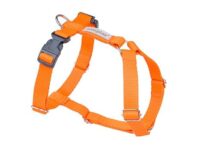 Amiplay Szelki regulowane Guard Samba M Pomarańczowy