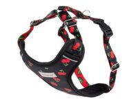 Amiplay Szelki regulowane Discovery BeHappy XXL Cherry