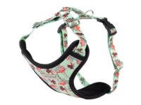 Amiplay Szelki regulowane Discovery BeHappy S Flamingo