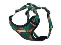 Amiplay Szelki regulowane Discovery BeHappy L Jungle