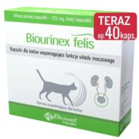 BIOWET Biourinex Felis 40 kapsułek na drogi moczowe kota