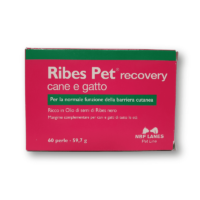 NBF Lanes Ribes Pet Recovery 60 kapsułek